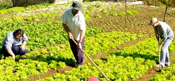 R$ 1,3 bilhão para agricultura familiar, promete governo