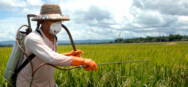A política de conflito no Brasil sobre uso de agrotóxicos