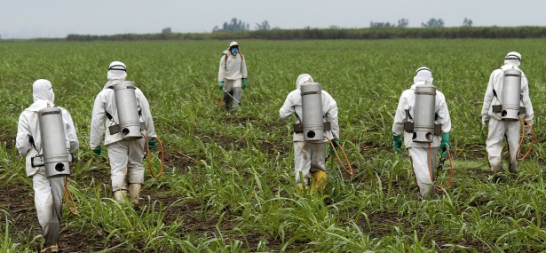 Justiça francesa proíbe herbicida com glifosato
